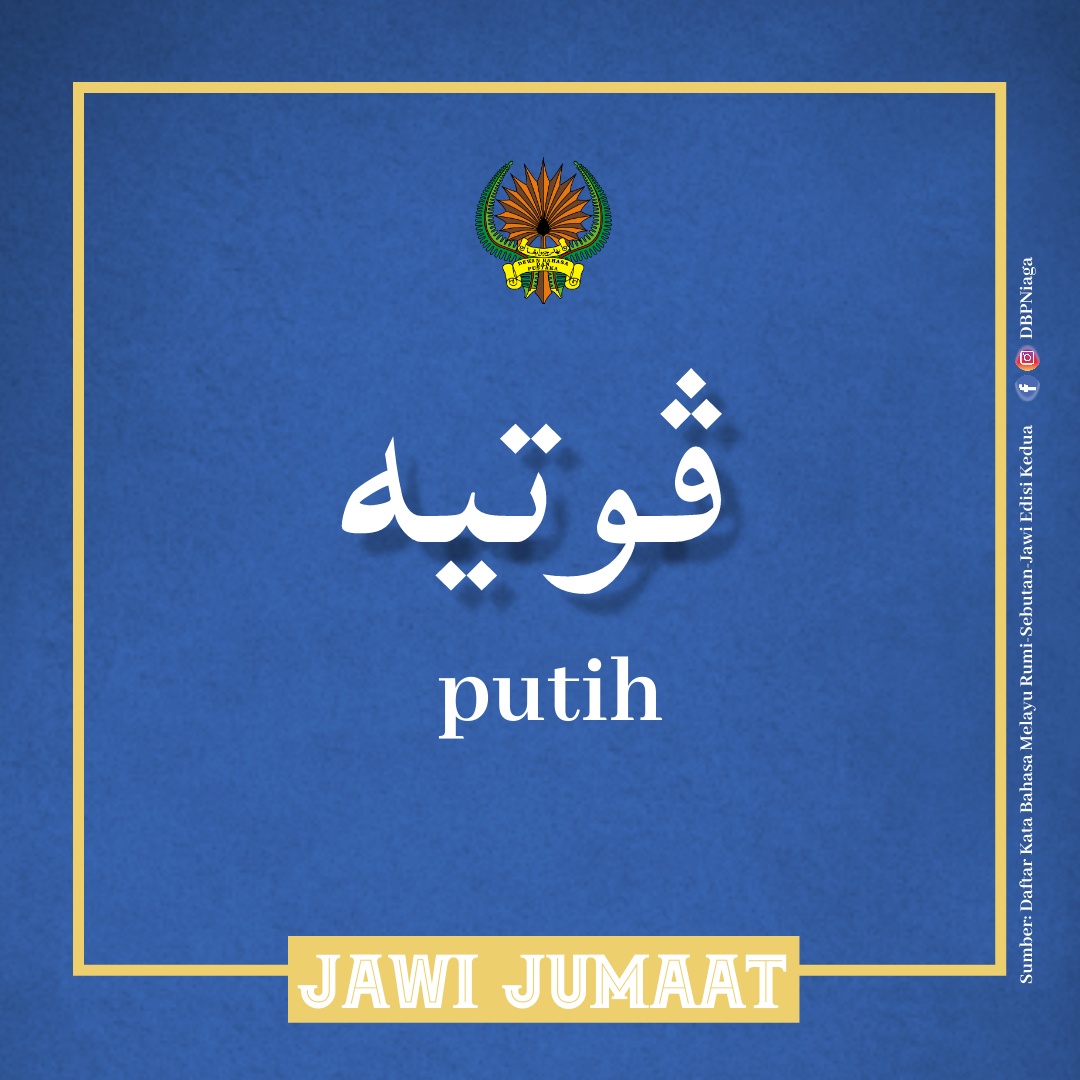 JAWI 3