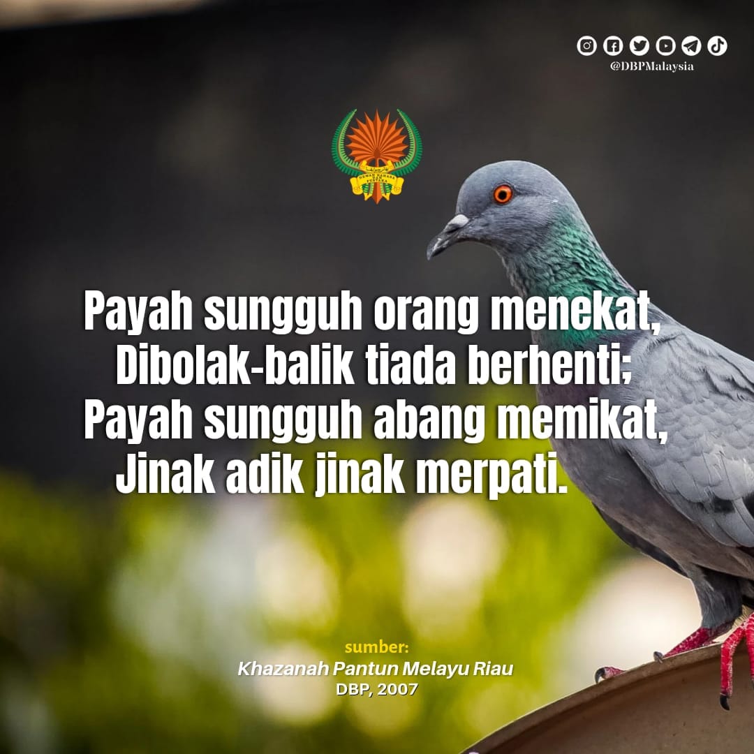 PANTUN 15